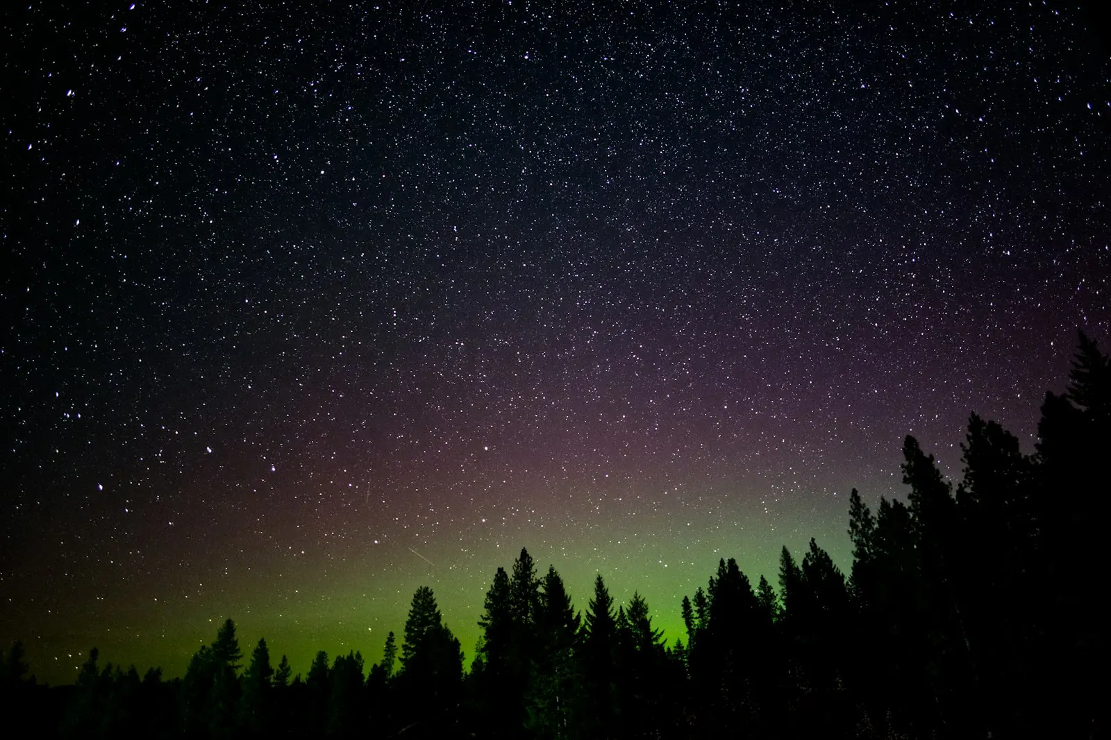 Green and purple aurora under a star-filled night sky