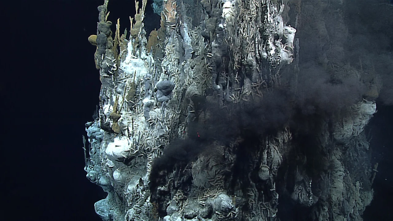 An active hydrothermal vent chimney covered with animals and releasing a dark mineral-rich plume in the Mariana back-arc