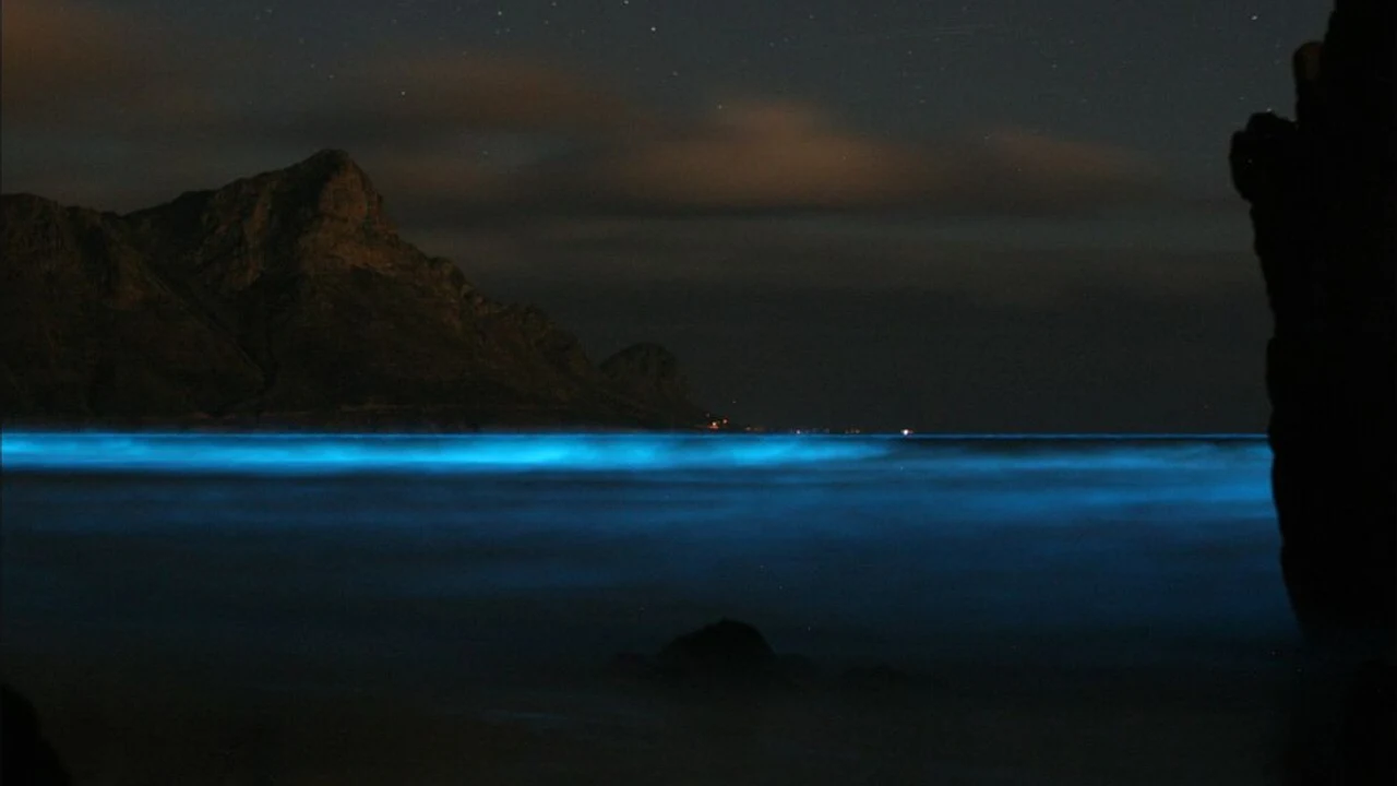 A Noctiluca bloom glowing electric blue where waves disturb the sea at night