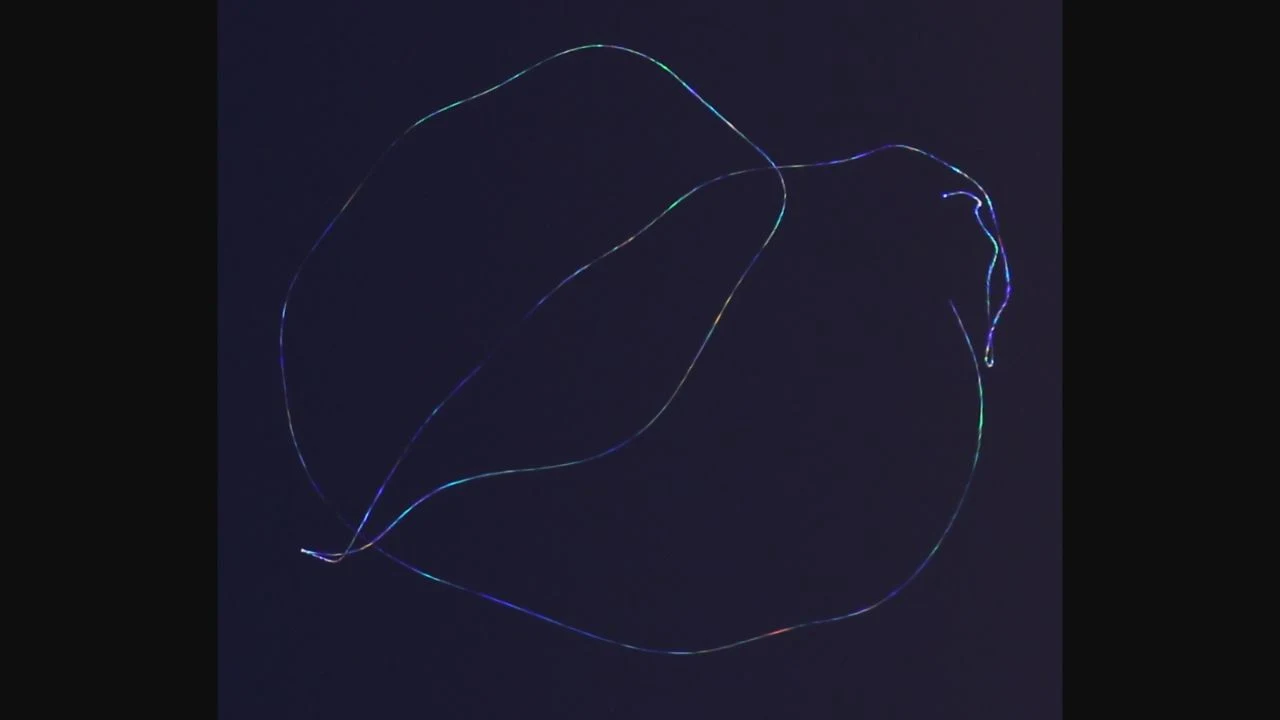 Long-exposure camera-movement trace of Sirius showing rapid blue, green, red and white scintillation