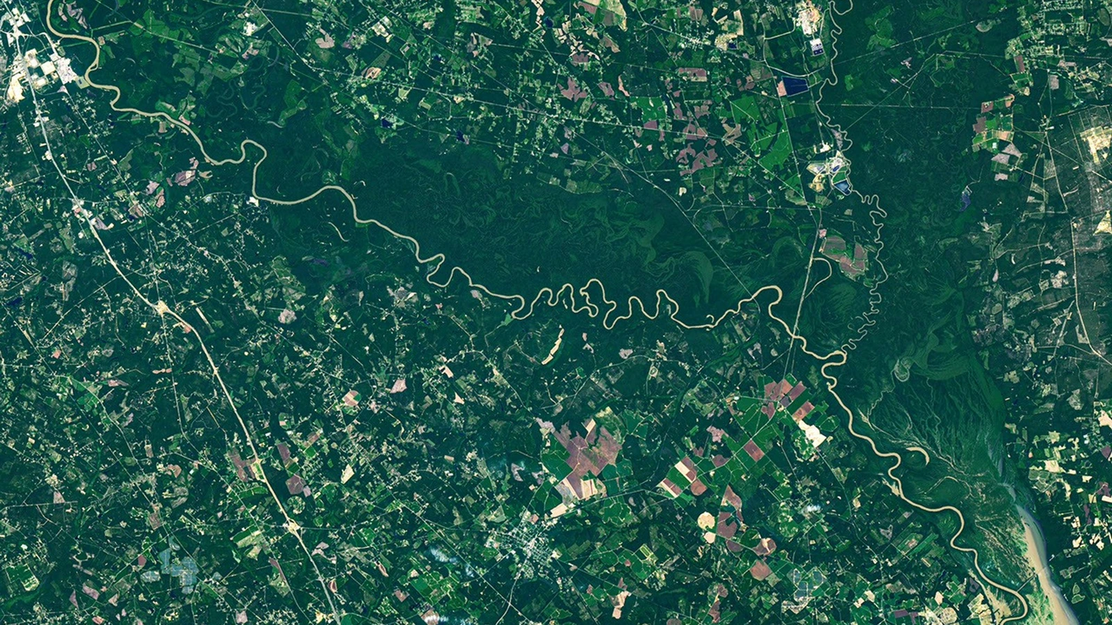 NASA Landsat 9 satellite image showing the Congaree River winding through dark green floodplain forest, with abandoned channels and lighter river-shaped bands visible across South Carolina