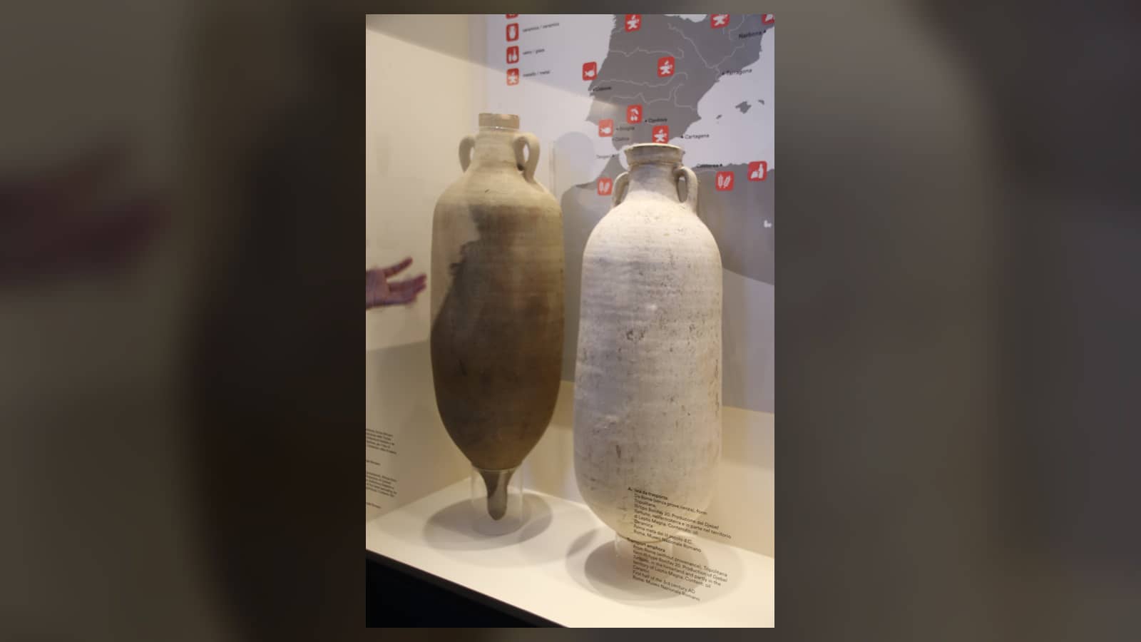 Two real Roman transport amphorae displayed in the Colosseum Museum beside a Mediterranean trade map