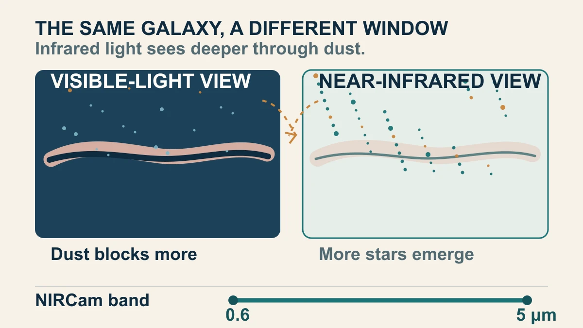 Original diagram comparing visible-light dust obscuration with Webb's near-infrared view of M82 and marking NIRCam's 0.6-to-5-micron range