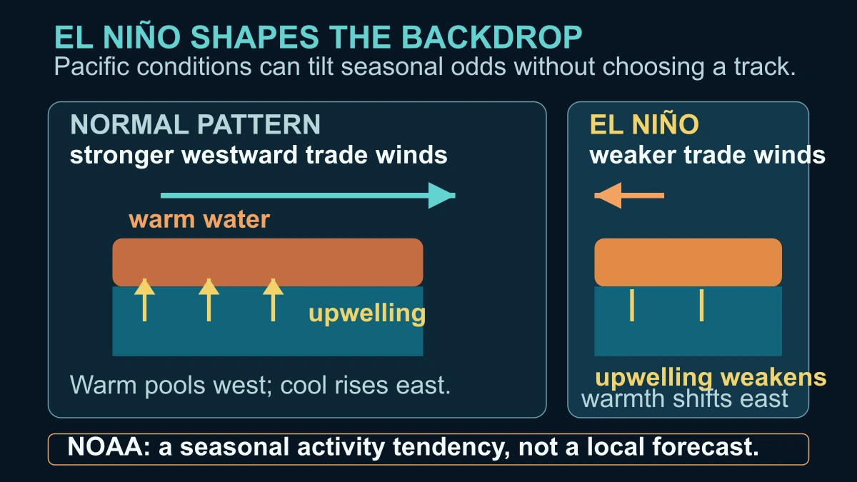 Original mechanism diagram comparing normal Pacific trade winds and upwelling with an El Niño pattern of weaker winds and warmer water shifting east