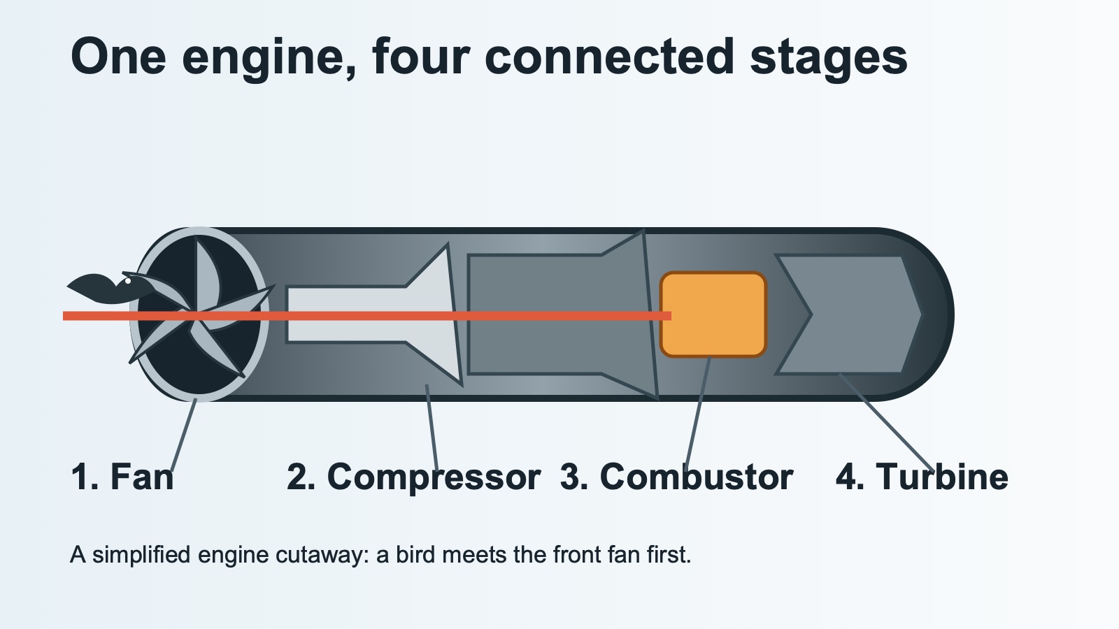 A labelled cutaway diagram showing a bird entering the front fan of a turbofan and the downstream compressor, combustor and turbine stages