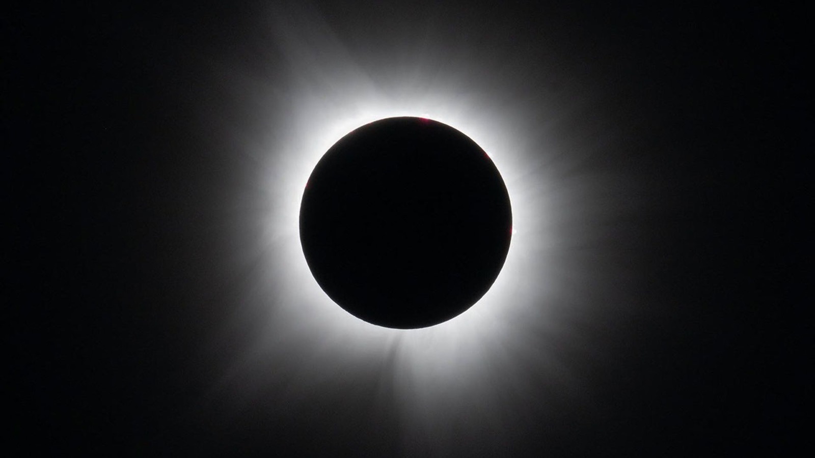A total solar eclipse photographed in Dallas on 8 April 2024, with the Moon's dark disk covering the bright Sun and the white corona visible around it