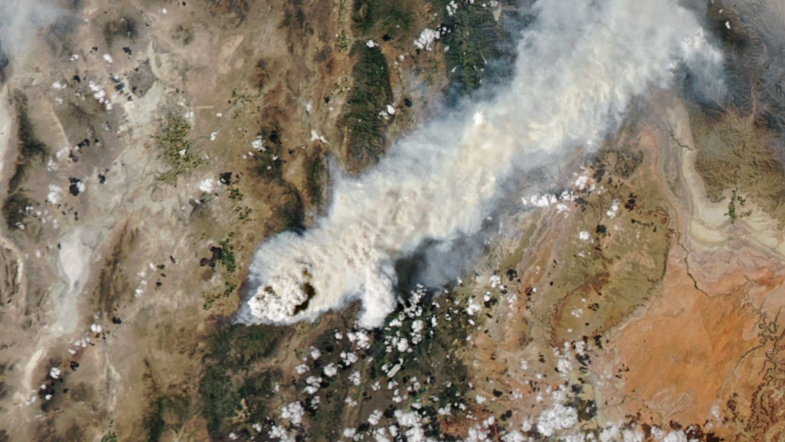 NASA MODIS natural-colour satellite image showing a smoke-infused pyrocumulonimbus rising from the Widemouth 2 fire in Utah on August 2, 2026