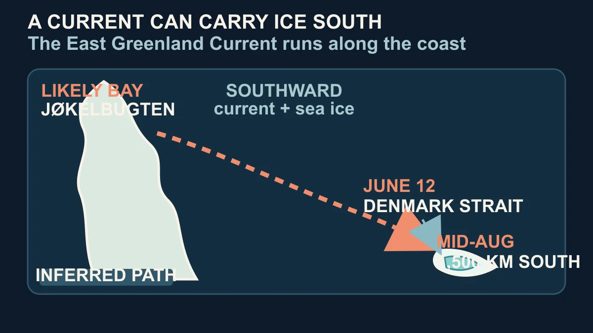 Original map-style diagram showing a likely Greenland bay, a southward current route to the Denmark Strait and the iceberg's mid-August distance