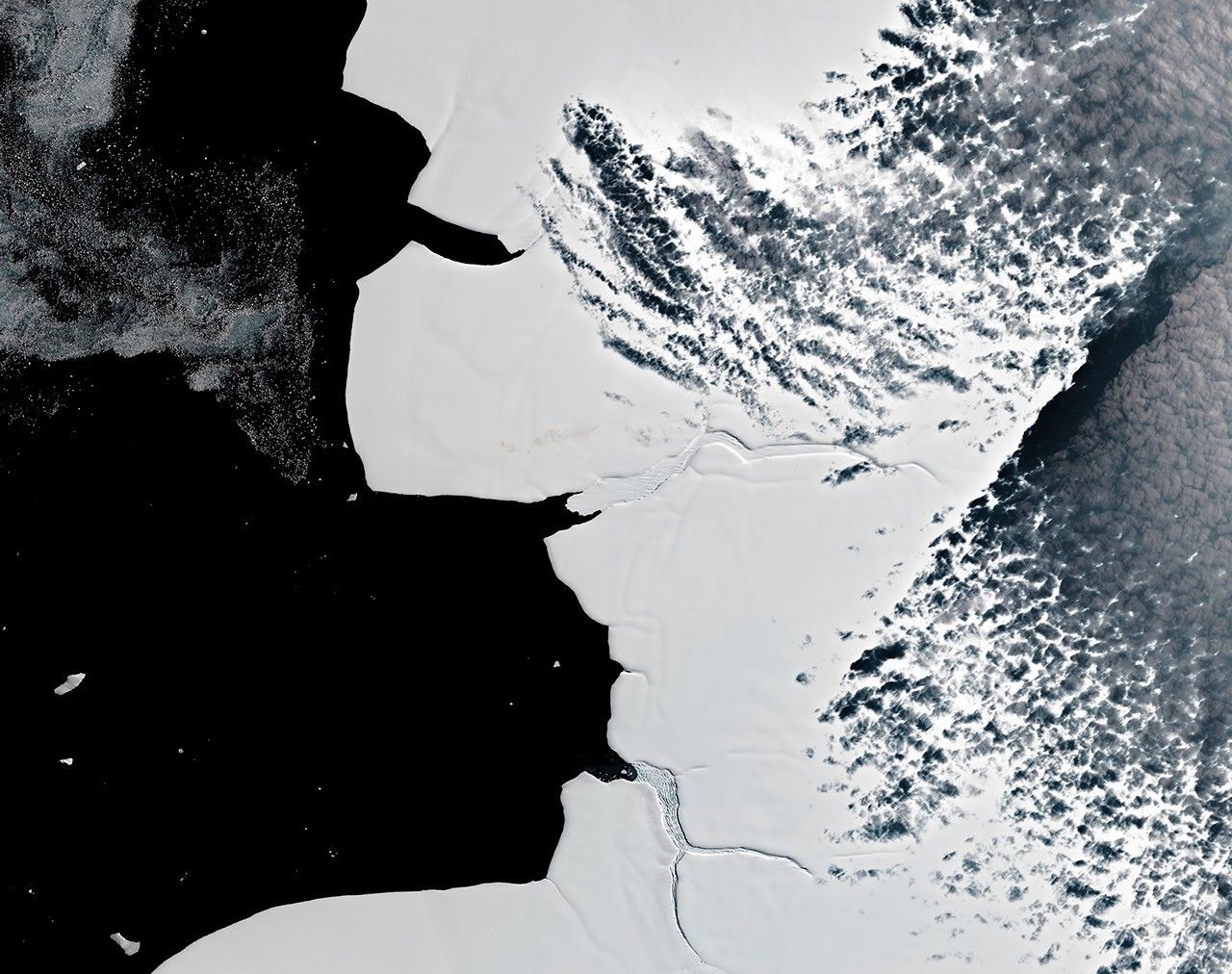 False-color Landsat view of Antarctic sea ice and the coastline used to study an emperor penguin colony