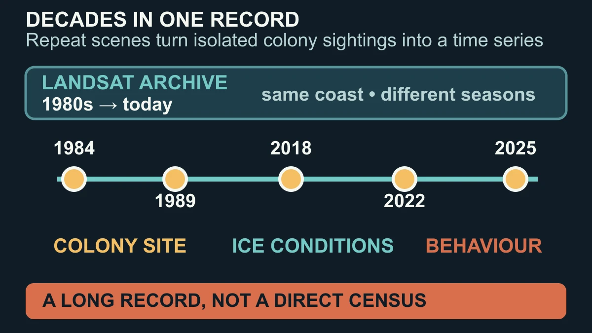 Original timeline showing Landsat-era repeat observations from the 1980s through 2025 for tracking emperor penguin colony sites and ice conditions