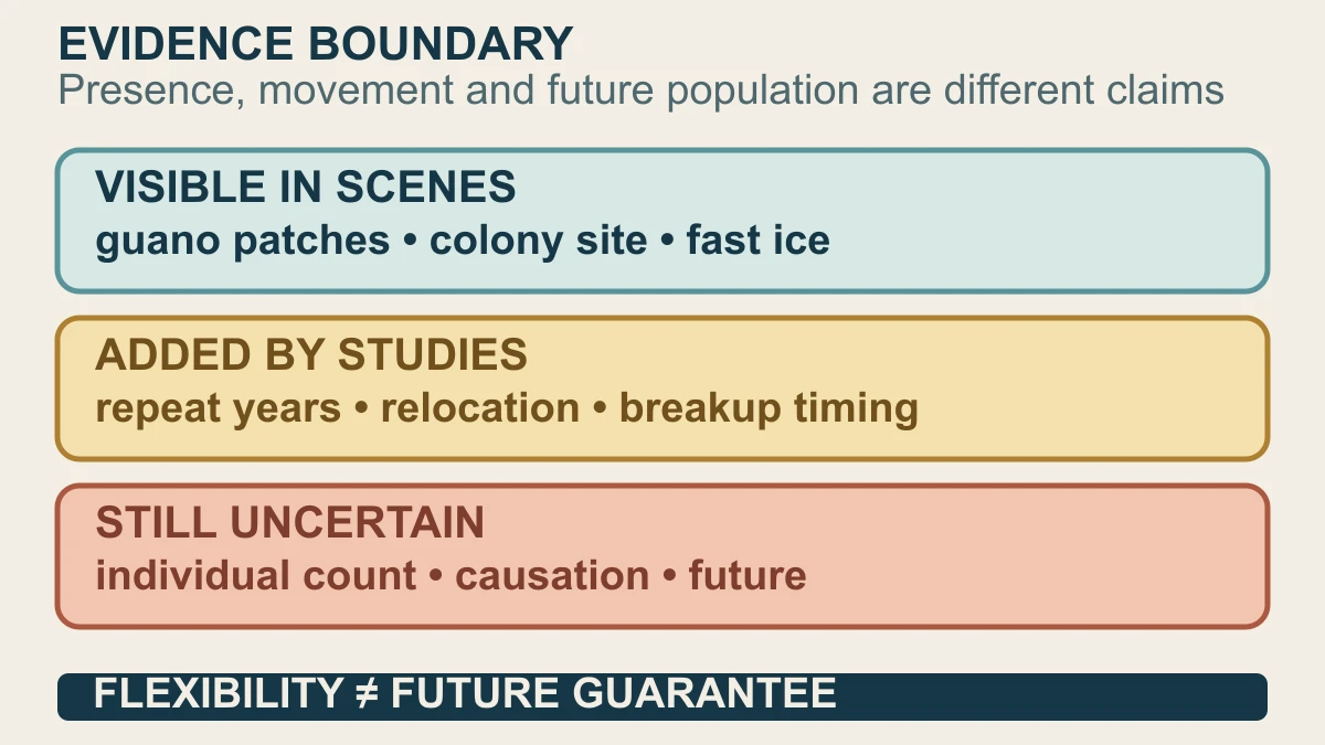 Original evidence-boundary diagram separating satellite-visible colony clues, study-level movement evidence and claims that imagery cannot establish alone