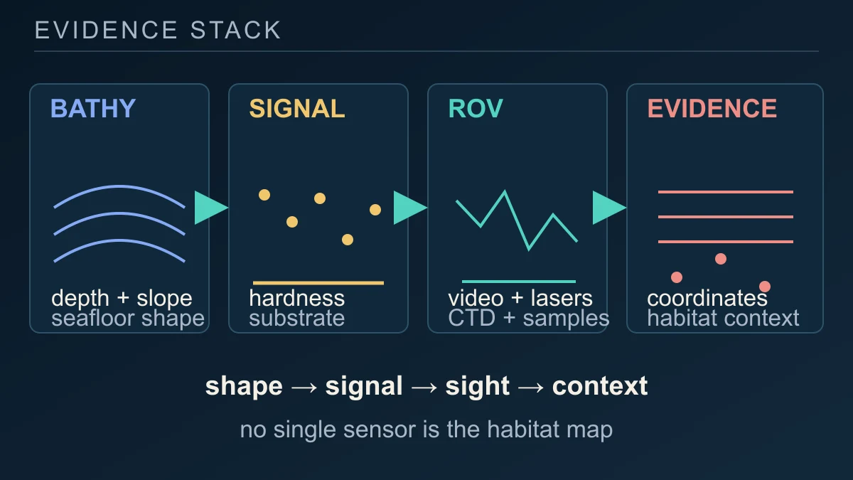 Original diagram combining bathymetry, acoustic backscatter, ROV video and in-situ sensors into georeferenced habitat context