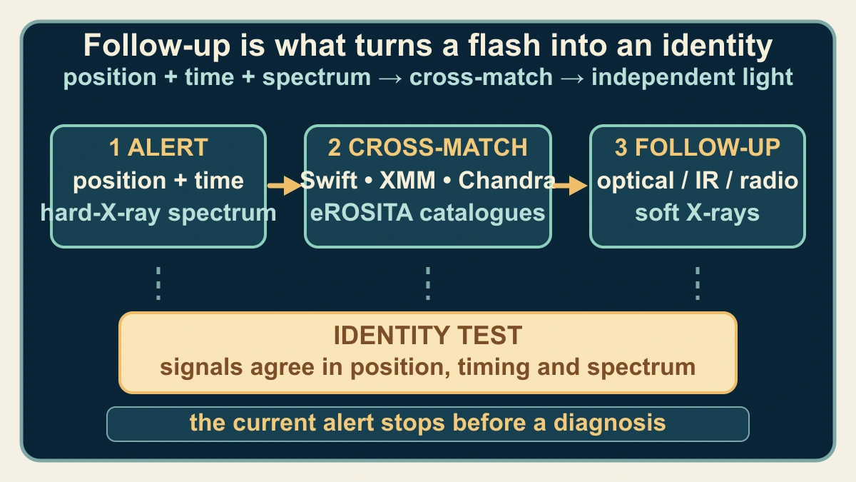 Original evidence-route diagram showing a transient alert moving through catalogue cross-matching and optical, infrared, radio and soft-X-ray follow-up before an identity test